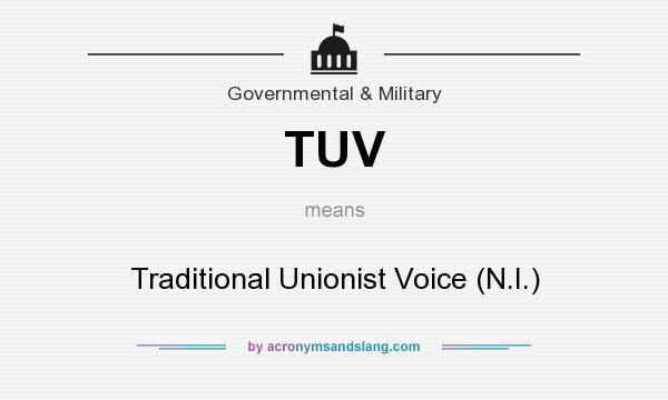What does TUV mean? It stands for Traditional Unionist Voice (N.I.)