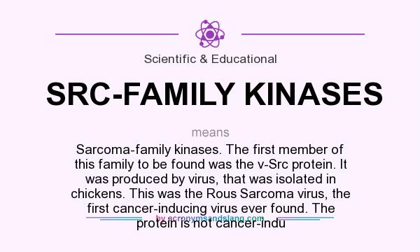 What does SRC-FAMILY KINASES mean? It stands for Sarcoma-family kinases. The first member of this family to be found was the v-Src protein. It was produced by virus, that was isolated in chickens. This was the Rous Sarcoma virus, the first cancer-inducing virus ever found. The protein is not cancer-indu