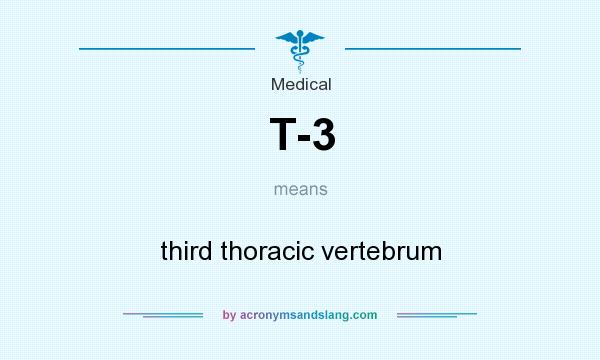 What does T-3 mean? It stands for third thoracic vertebrum