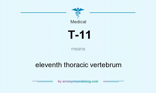 What does T-11 mean? It stands for eleventh thoracic vertebrum