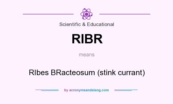 What does RIBR mean? It stands for RIbes BRacteosum (stink currant)