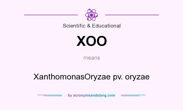 What does XOO mean? It stands for XanthomonasOryzae pv. oryzae