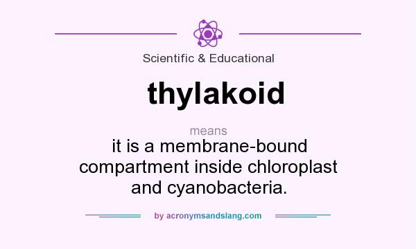 What does thylakoid mean? It stands for it is a membrane-bound compartment inside chloroplast and cyanobacteria.