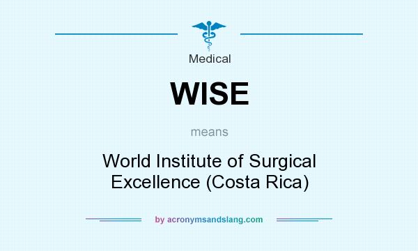 What does WISE mean? It stands for World Institute of Surgical Excellence (Costa Rica)