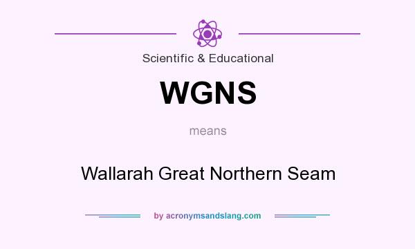 What does WGNS mean? It stands for Wallarah Great Northern Seam