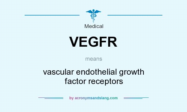 What does VEGFR mean? It stands for vascular endothelial growth factor receptors