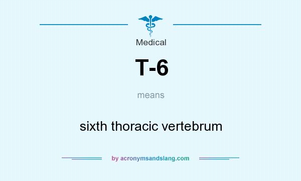 What does T-6 mean? It stands for sixth thoracic vertebrum