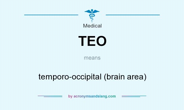 What does TEO mean? It stands for temporo-occipital (brain area)
