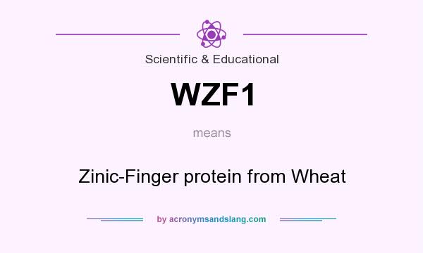 What does WZF1 mean? It stands for Zinic-Finger protein from Wheat