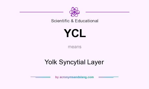 What does YCL mean? It stands for Yolk Syncytial Layer