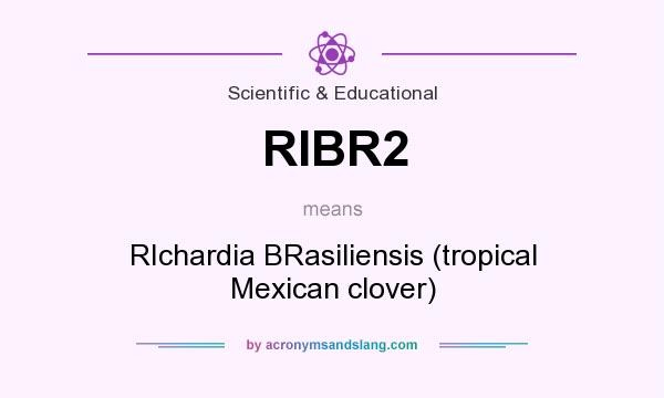 What does RIBR2 mean? It stands for RIchardia BRasiliensis (tropical Mexican clover)