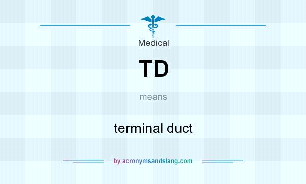 What does TD mean? It stands for terminal duct