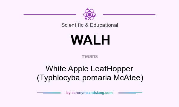 What does WALH mean? It stands for White Apple LeafHopper (Typhlocyba pomaria McAtee)
