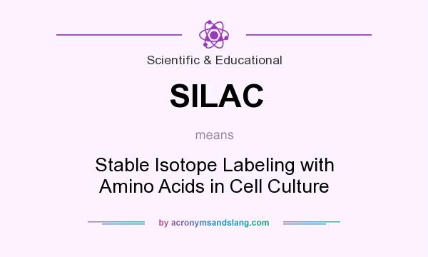 What does SILAC mean? It stands for Stable Isotope Labeling with Amino Acids in Cell Culture