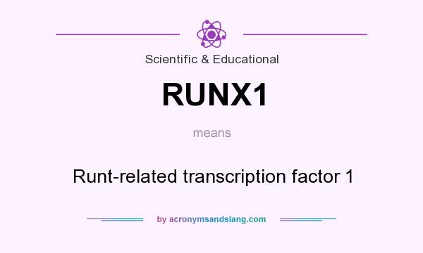 What does RUNX1 mean? It stands for Runt-related transcription factor 1