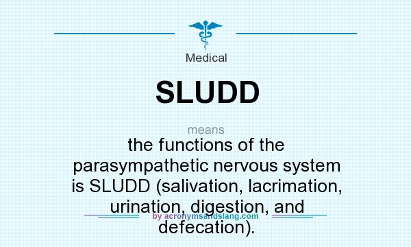 What does SLUDD mean? It stands for the functions of the parasympathetic nervous system is SLUDD (salivation, lacrimation, urination, digestion, and defecation).