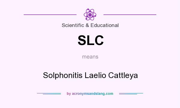 What does SLC mean? It stands for Solphonitis Laelio Cattleya