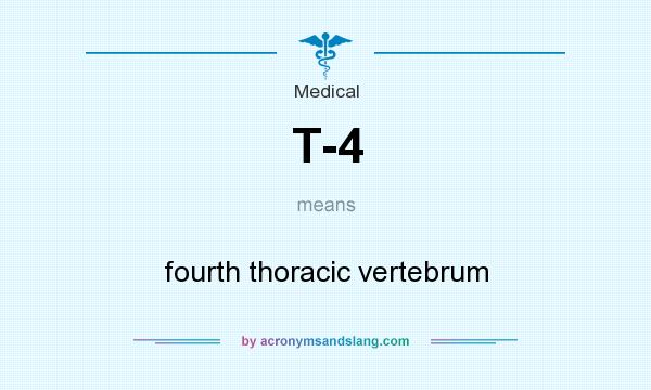 What does T-4 mean? It stands for fourth thoracic vertebrum