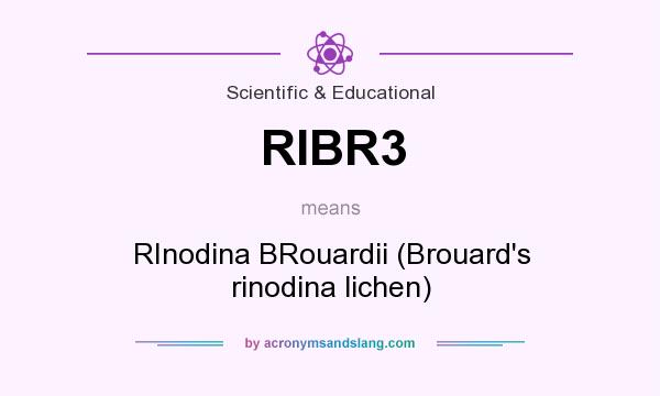 What does RIBR3 mean? It stands for RInodina BRouardii (Brouard`s rinodina lichen)