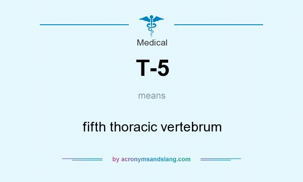 What does T-5 mean? It stands for fifth thoracic vertebrum