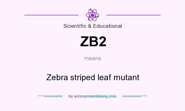 What does ZB2 mean? It stands for Zebra striped leaf mutant