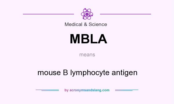 What does MBLA mean? It stands for mouse B lymphocyte antigen
