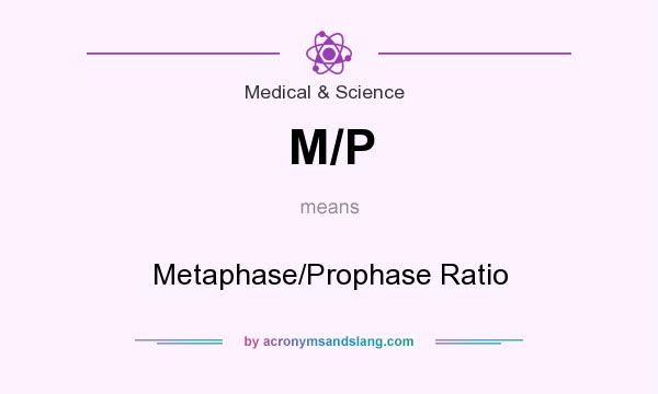 What does M/P mean? It stands for Metaphase/Prophase Ratio