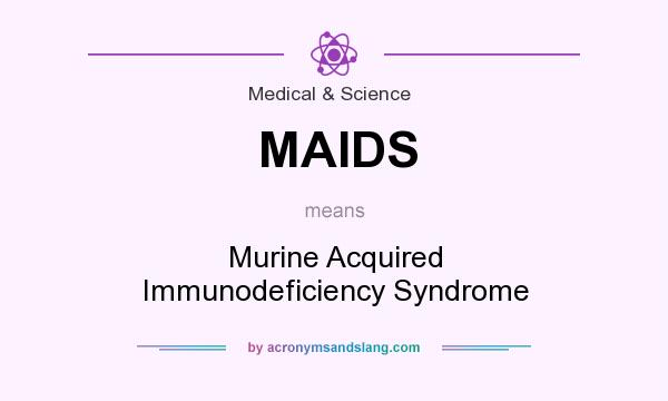 What does MAIDS mean? It stands for Murine Acquired Immunodeficiency Syndrome