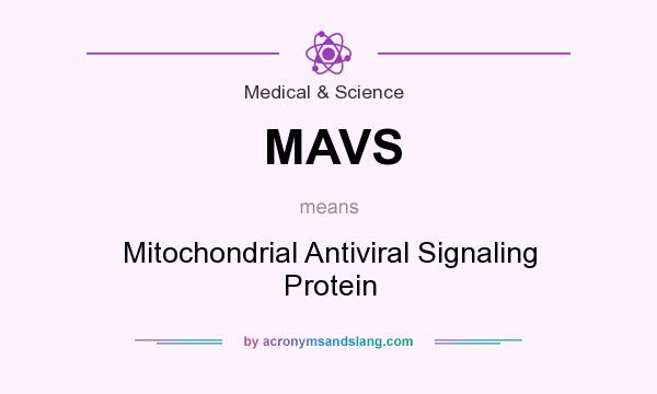 What does MAVS mean? It stands for Mitochondrial Antiviral Signaling Protein
