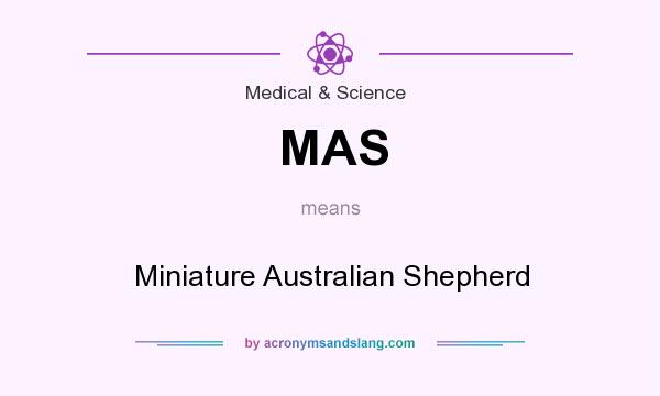 What does MAS mean? It stands for Miniature Australian Shepherd