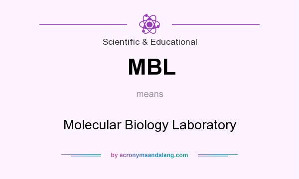What does MBL mean? It stands for Molecular Biology Laboratory