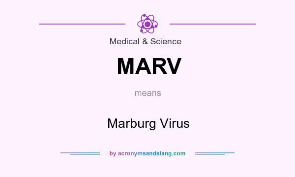 What does MARV mean? It stands for Marburg Virus
