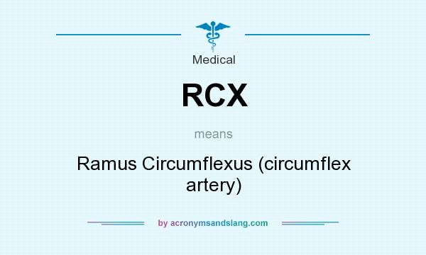 What does RCX mean? It stands for Ramus Circumflexus (circumflex artery)