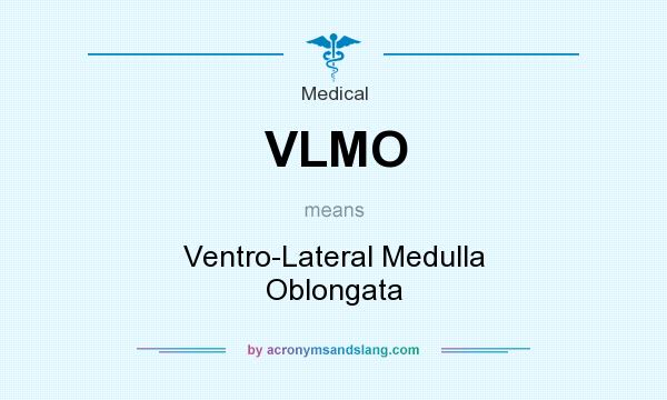 What does VLMO mean? It stands for Ventro-Lateral Medulla Oblongata