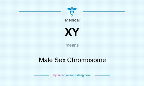 What does XY mean? It stands for Male Sex Chromosome