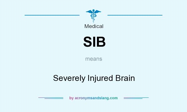 What does SIB mean? It stands for Severely Injured Brain
