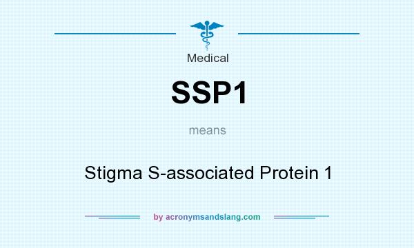 What does SSP1 mean? It stands for Stigma S-associated Protein 1