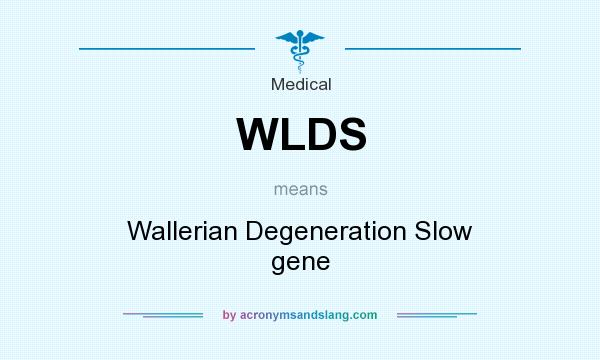 What does WLDS mean? It stands for Wallerian Degeneration Slow gene