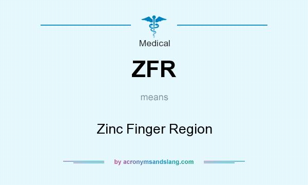What does ZFR mean? It stands for Zinc Finger Region