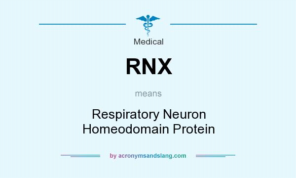 What does RNX mean? It stands for Respiratory Neuron Homeodomain Protein