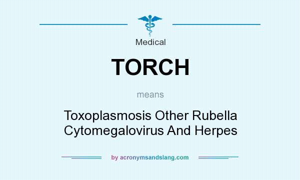 What does TORCH mean? It stands for Toxoplasmosis Other Rubella Cytomegalovirus And Herpes