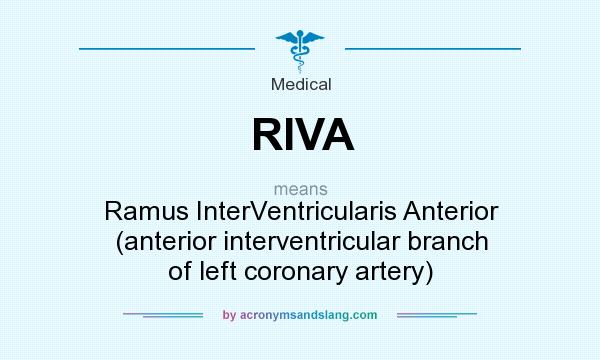 What does RIVA mean? It stands for Ramus InterVentricularis Anterior (anterior interventricular branch of left coronary artery)