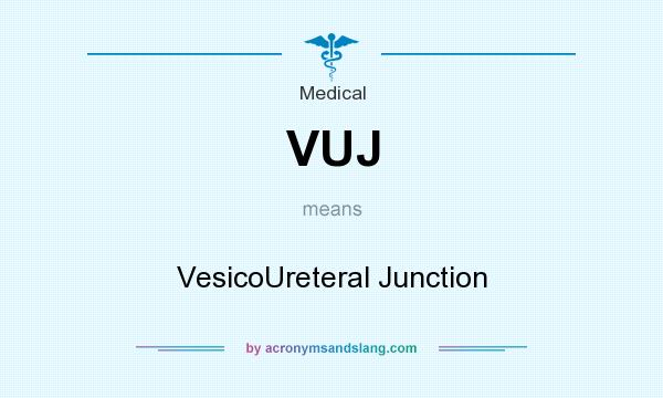 What does VUJ mean? It stands for VesicoUreteral Junction