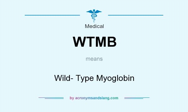 What does WTMB mean? It stands for Wild- Type Myoglobin