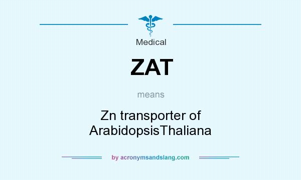 What does ZAT mean? It stands for Zn transporter of ArabidopsisThaliana