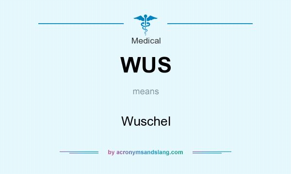 What does WUS mean? It stands for Wuschel