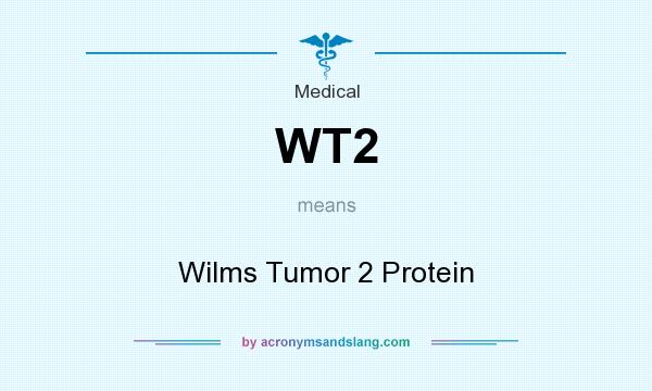 What does WT2 mean? It stands for Wilms Tumor 2 Protein