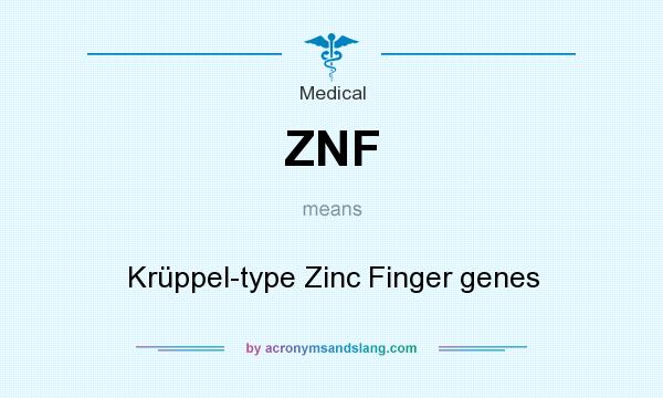 What does ZNF mean? It stands for Krüppel-type Zinc Finger genes