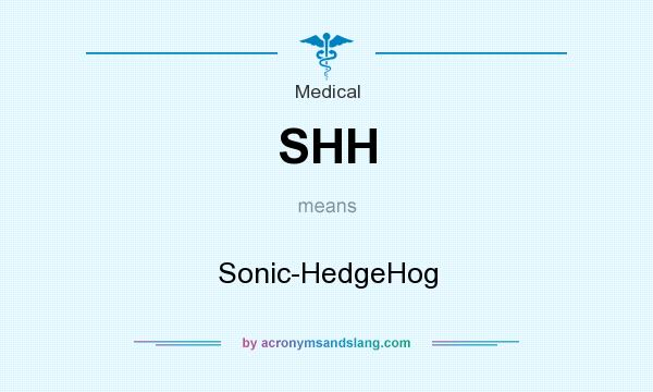 What does SHH mean? It stands for Sonic-HedgeHog