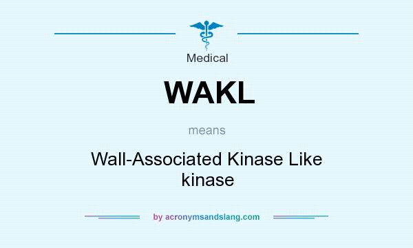 What does WAKL mean? It stands for Wall-Associated Kinase Like kinase
